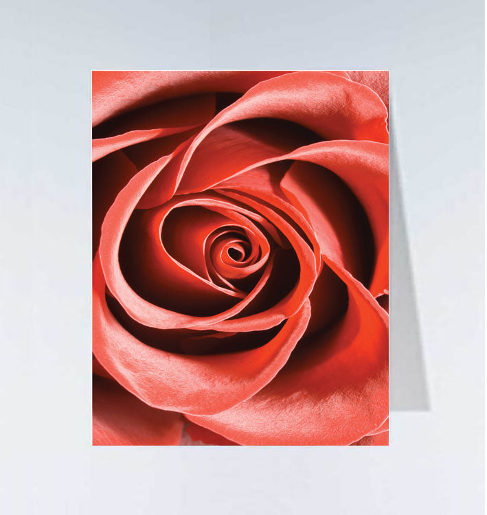 Small cards - 20 pcs