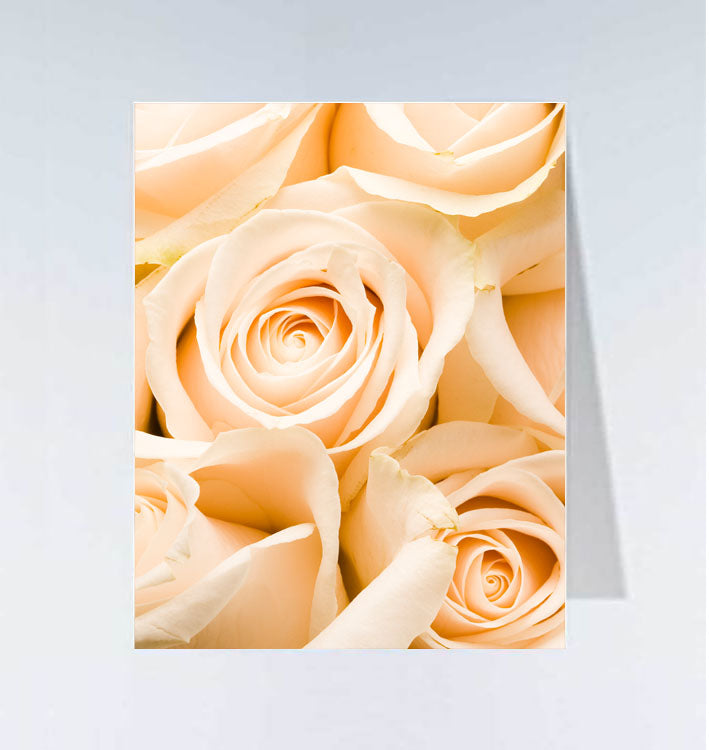 Small cards - 20 pcs