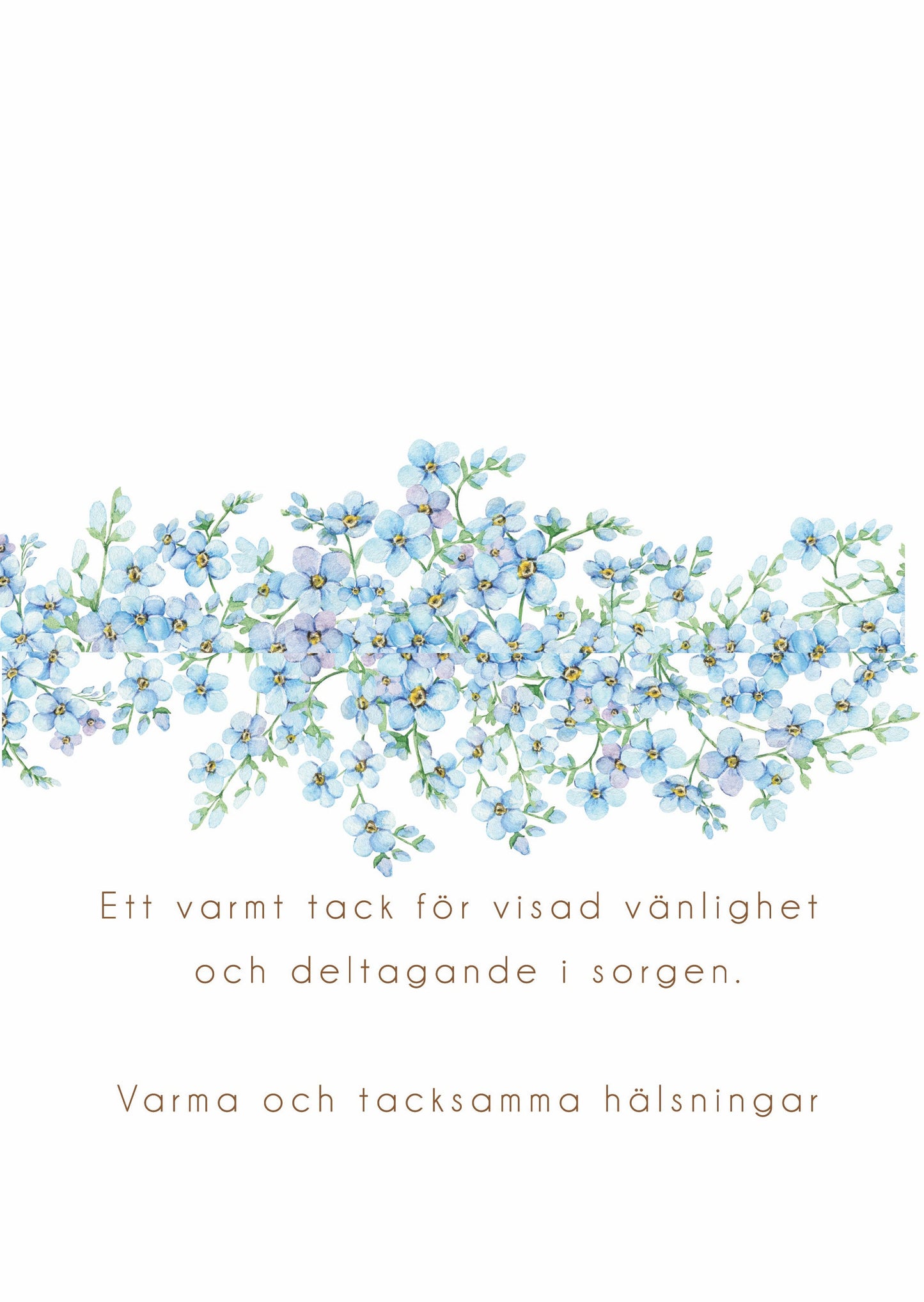 Tackkort efter Begravning > Färdiga begravnings tackkort med motiv av förgätmigej i akvarell. 10st inklusive ofrankerade kuvert