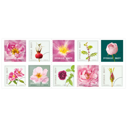 Häfte med 10st självhäftande frimärken med motivet rosor –  Enligt PostNords aktuella portotabell