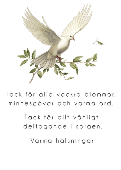Färdiga tackkort till efter begravningen med motiv av vit duva. 10st inklusive ofrankerade kuvert.