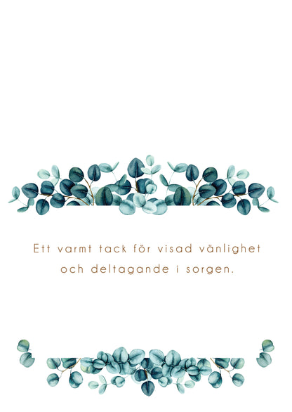 Färdiga begravnings tackkort med motiv av eucalyptus i akvarell. 10st inklusive ofrankerade kuvert.