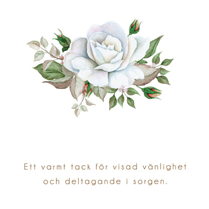 Tackkort efter Begravning > Färdiga begravnings tackkort med motiv av vit ros i akvarell. 10st inklusive kuvert.