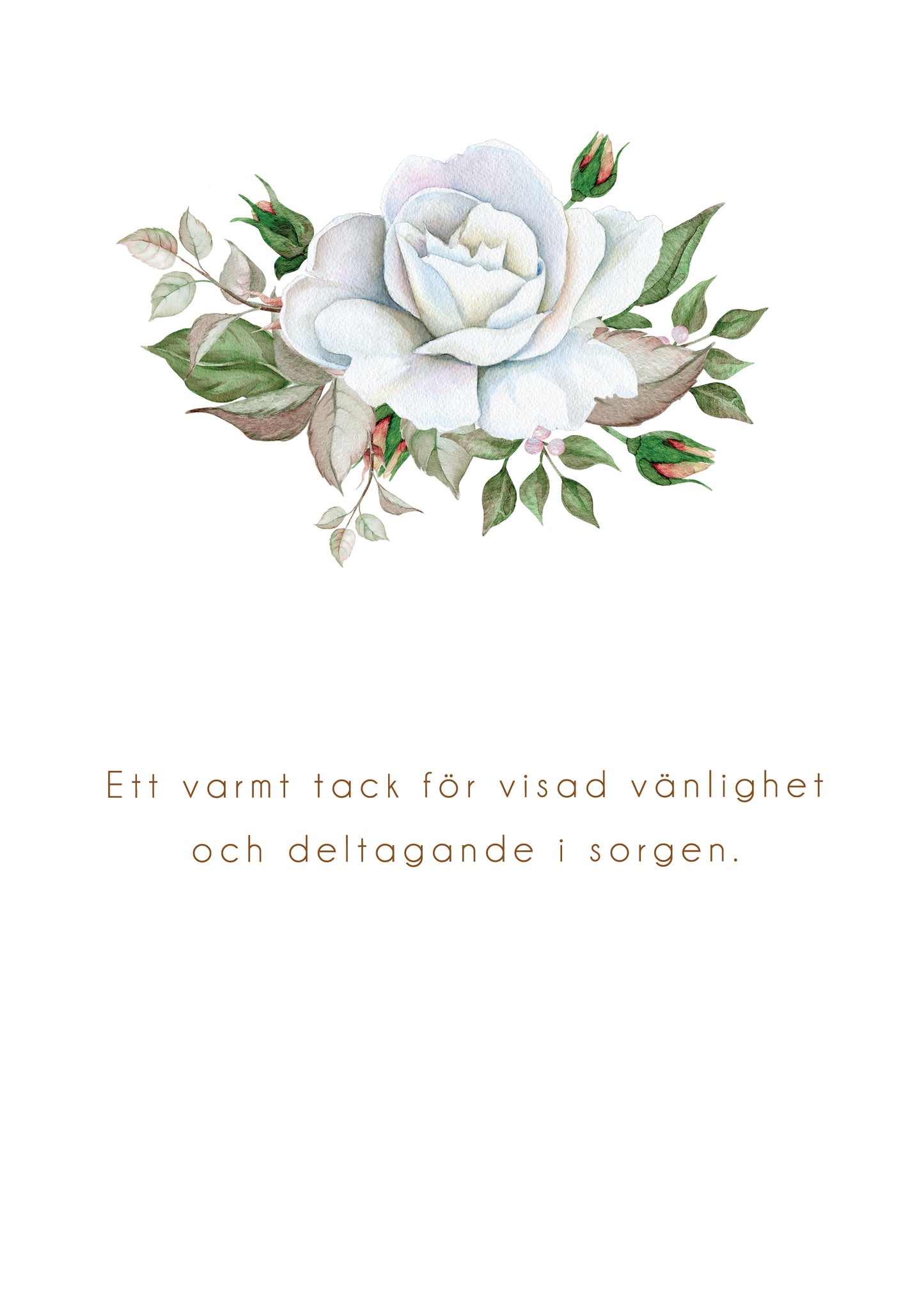 Tackkort efter begravning > Porto inkl.>Färdiga begravnings tackkort med motiv av vit ros i akvarell 10st inklusive FRANKERADE KUVERT.  PORTO BETALT 10 x 22kr.