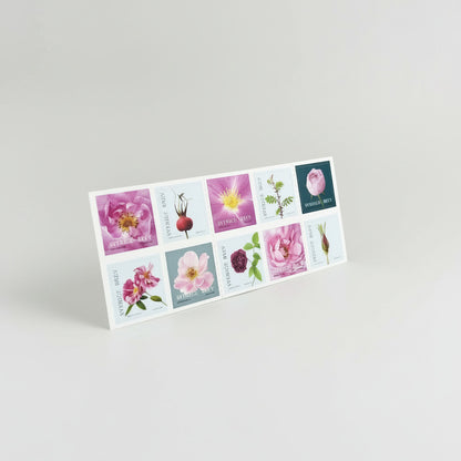 Häfte med 10st självhäftande frimärken med motivet rosor –  Enligt PostNords aktuella portotabell