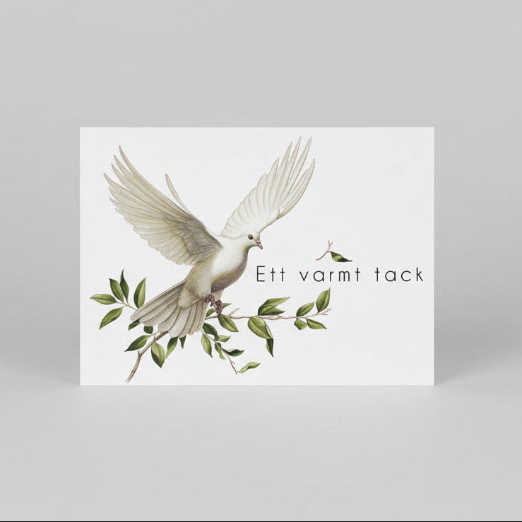 Färdiga tackkort till efter begravningen med motiv av vit duva. 10st inklusive kuvert.