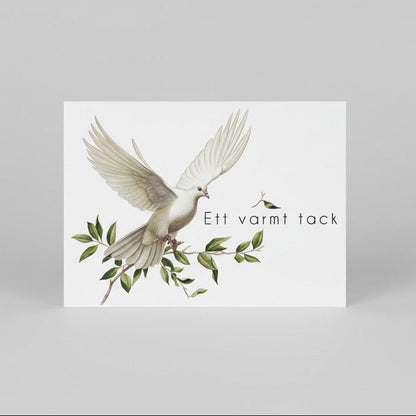 Färdiga tackkort till efter begravningen med motiv av vit duva. 10st inklusive kuvert.
