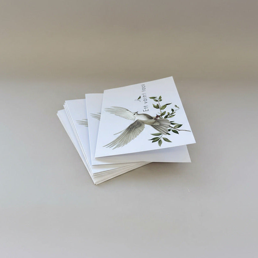 Färdiga tackkort till efter begravningen med motiv av vit duva. 10st inklusive kuvert.