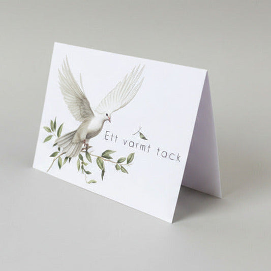 Färdiga tackkort till efter begravningen med motiv av vit duva. 10st inklusive kuvert.