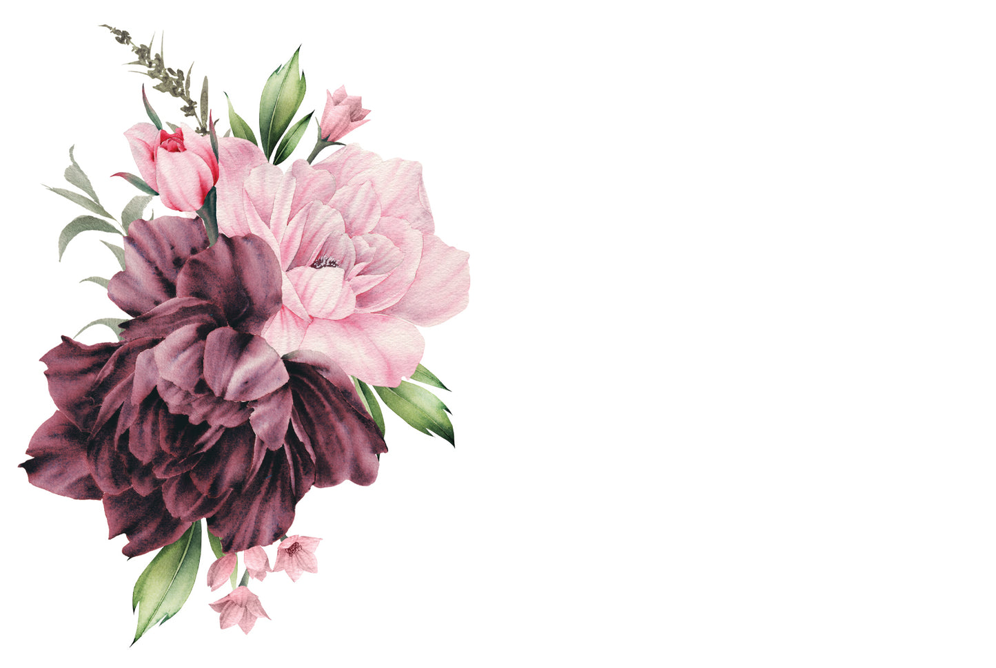 Rosa/lila pioner i akvarell 25st inkl kuvert