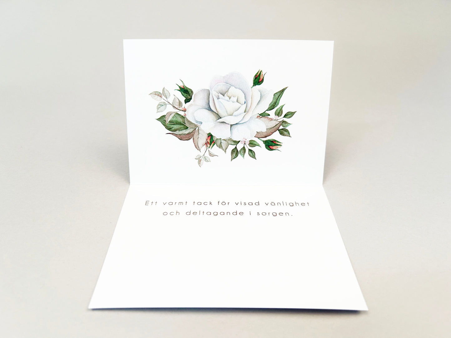 Tackkort efter Begravning > Färdiga begravnings tackkort med motiv av vit ros i akvarell. 10st inklusive kuvert.
