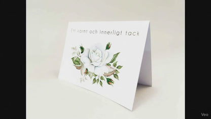 Färdiga begravnings tackkort med motiv av vit ros i akvarell. 15 kort inklusive kuvert.