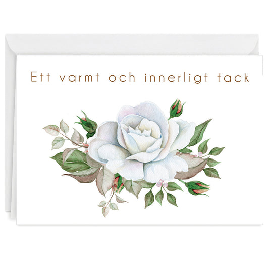 Tackkort efter Begravning > Färdiga begravnings tackkort med motiv av vit ros i akvarell. 10st inklusive ofrankerade kuvert