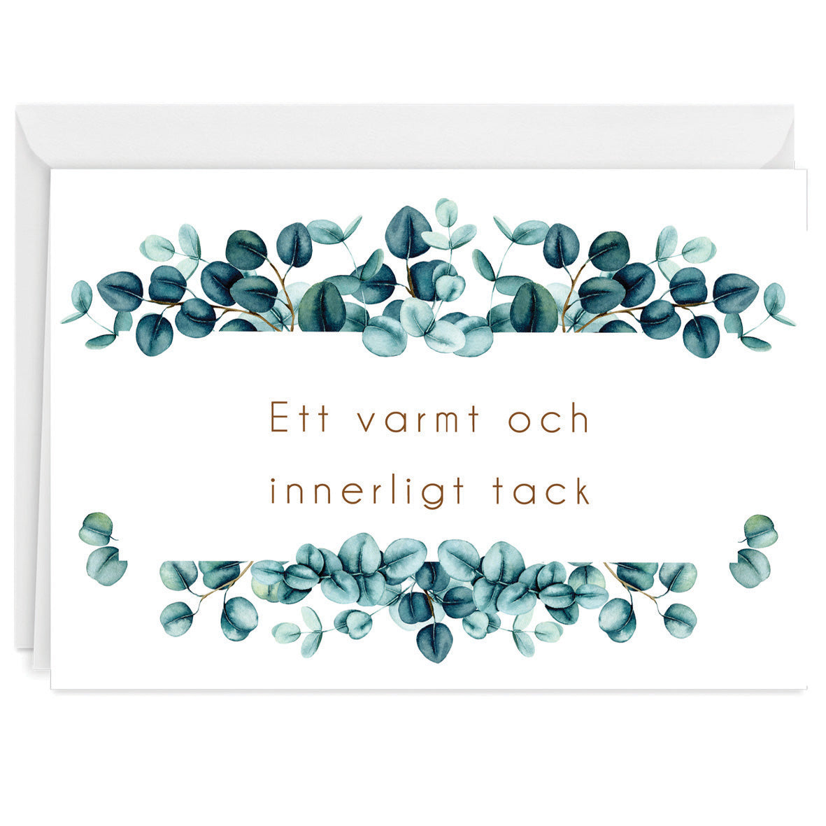 Färdiga begravnings tackkort med motiv av eucalyptus i akvarell. 10st inklusive ofrankerade kuvert.