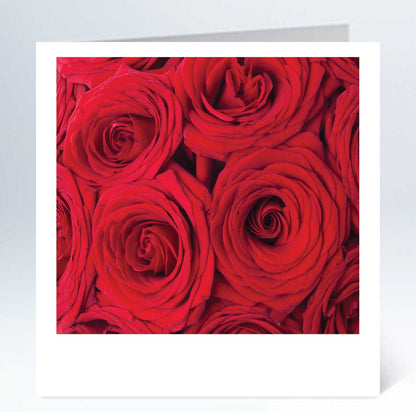 Large card - 10 pcs including envelope 12.5 x 12.5 cm