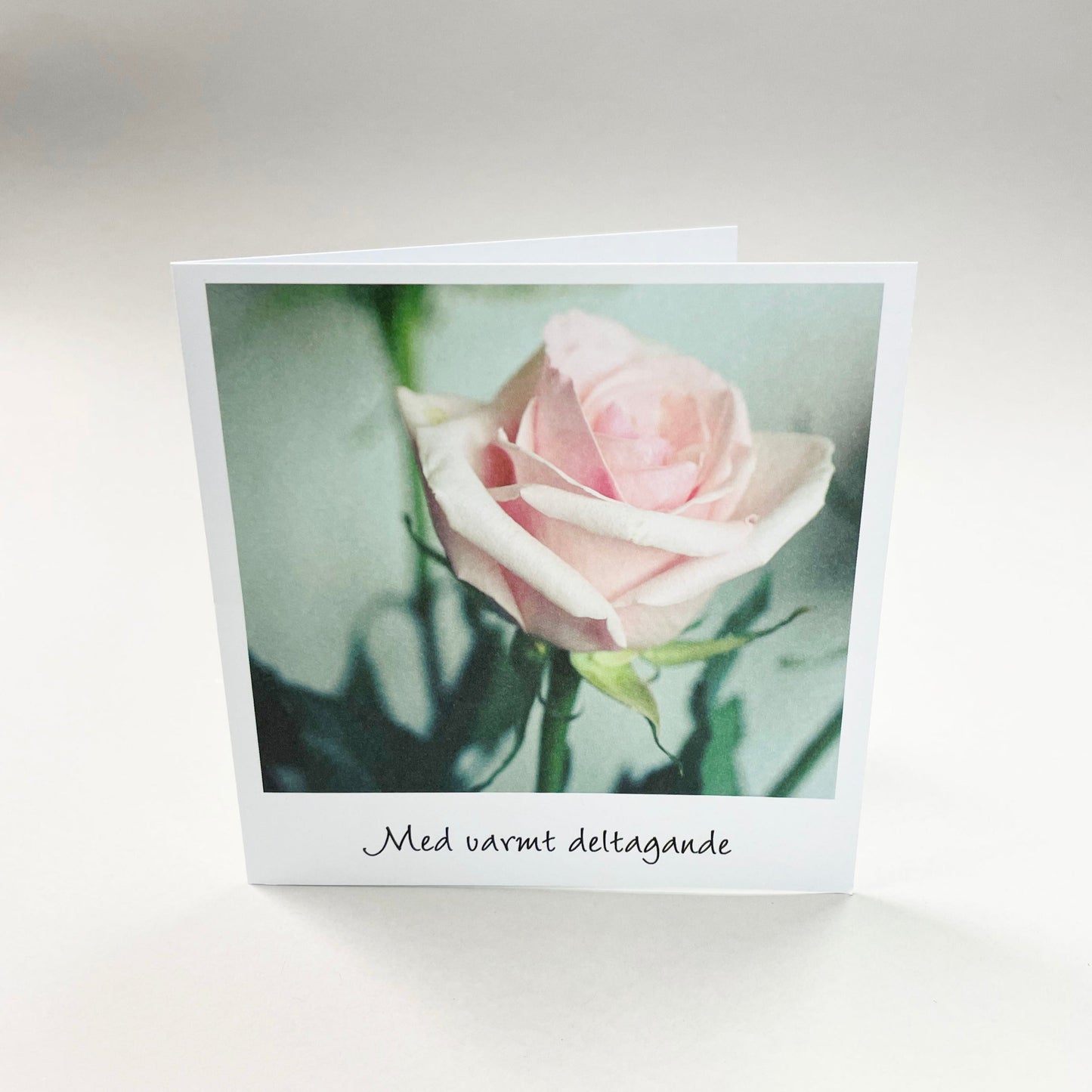 Large card - 10 pcs including envelope 12.5 x 12.5 cm