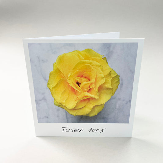 Large card - 10 pcs including envelope 12.5 x 12.5 cm