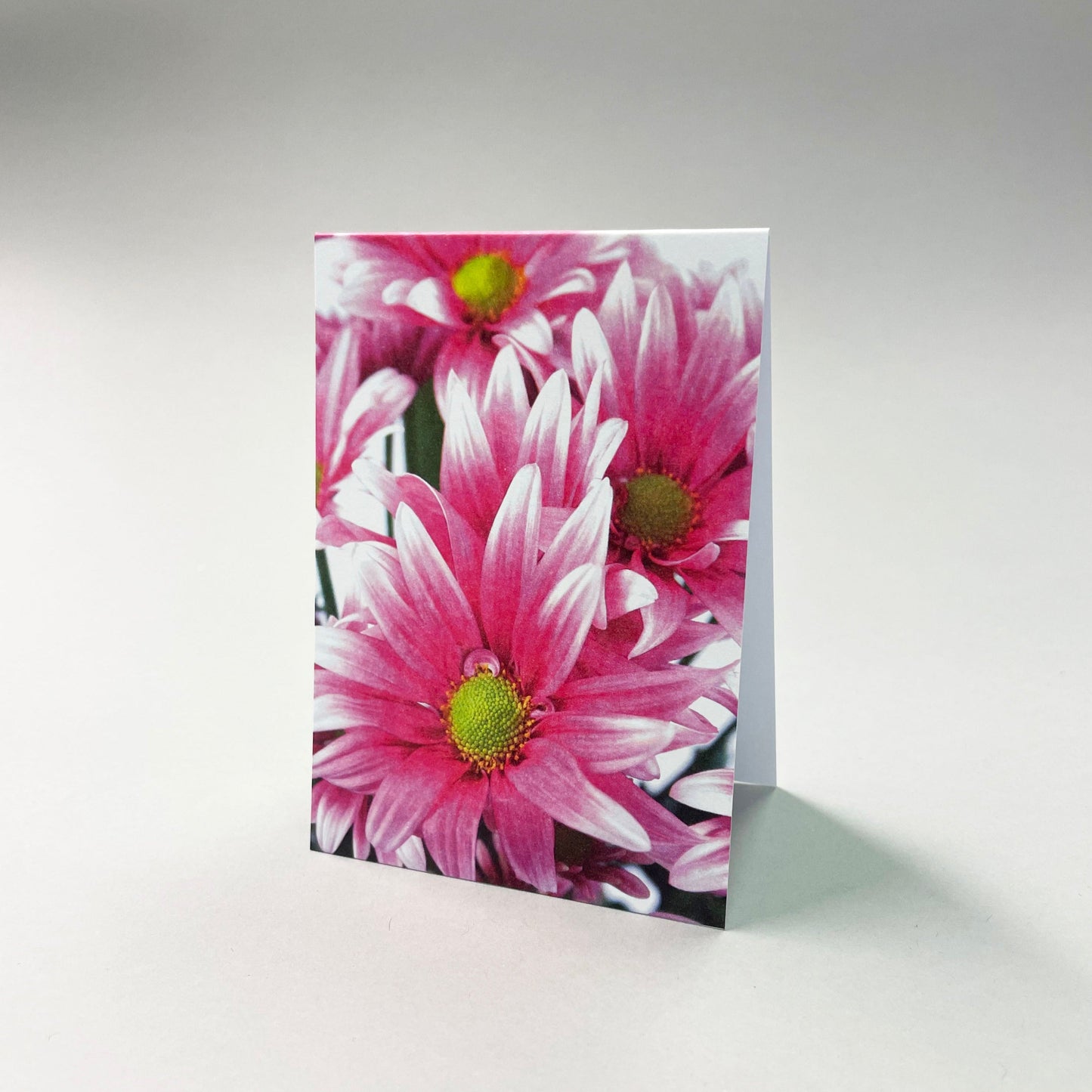 Small cards - 20 pcs 