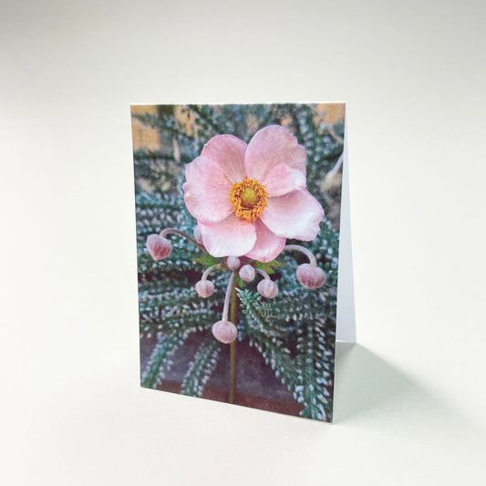 Small cards - 20 pcs 