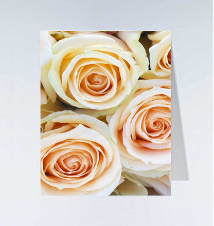 Small cards - 20 pcs 