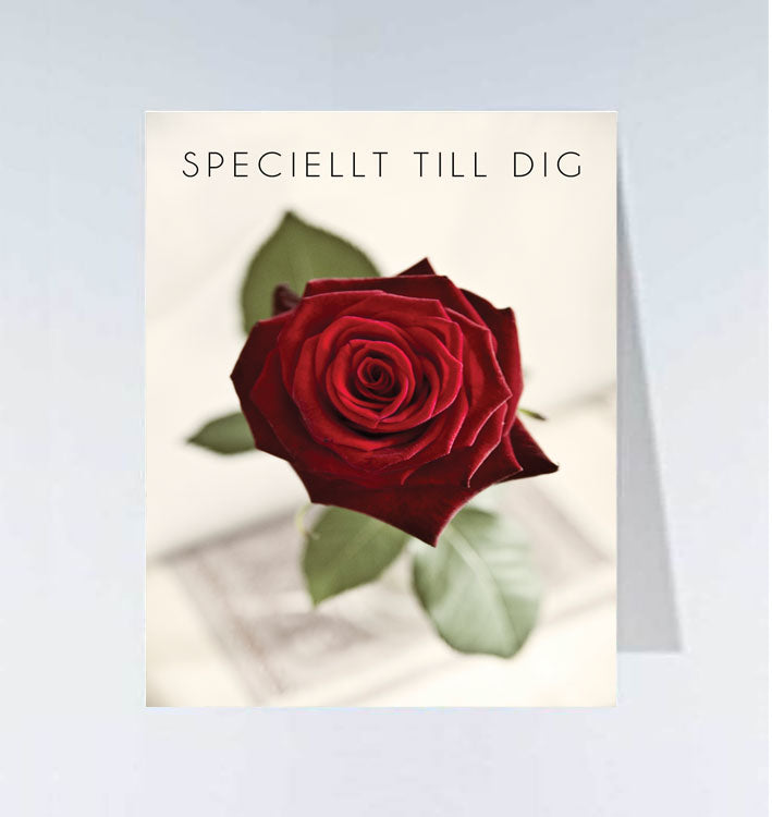 Small cards - 20 pcs 