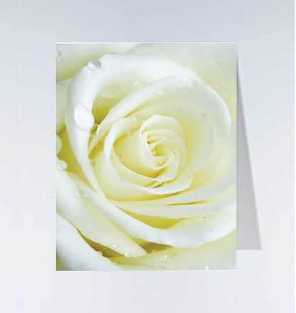 Small cards - 20 pcs 