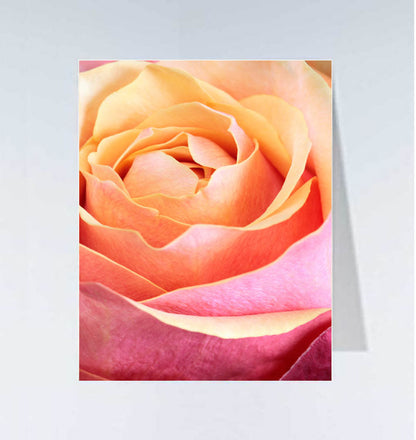 Small cards - 20 pcs 