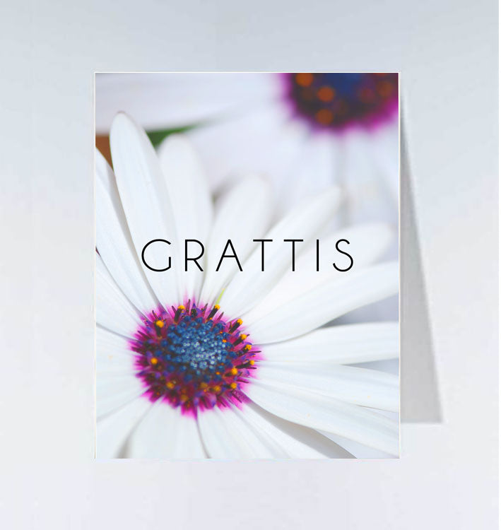 Small cards - 20 pcs 