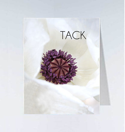 Small cards - 20 pcs 