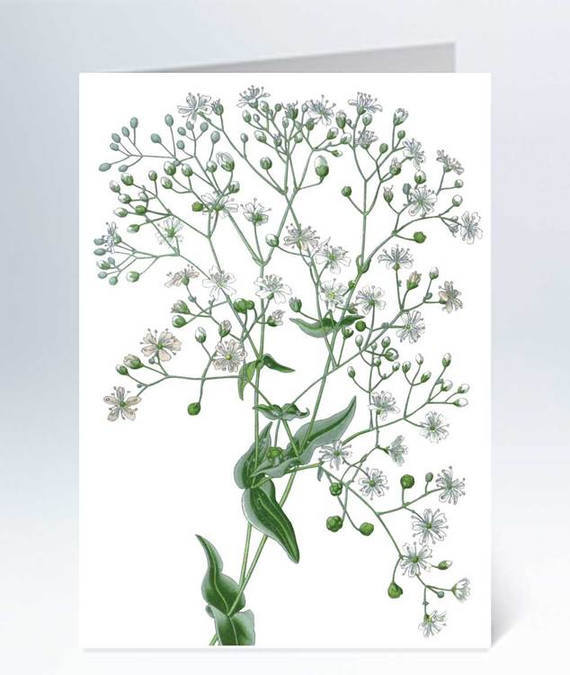 Small cards - 20 pcs 