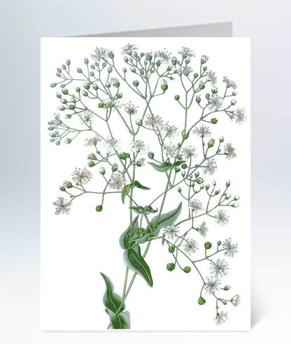 Small cards - 20 pcs 