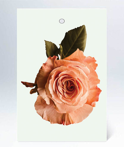 Tag simple - 30 pcs 