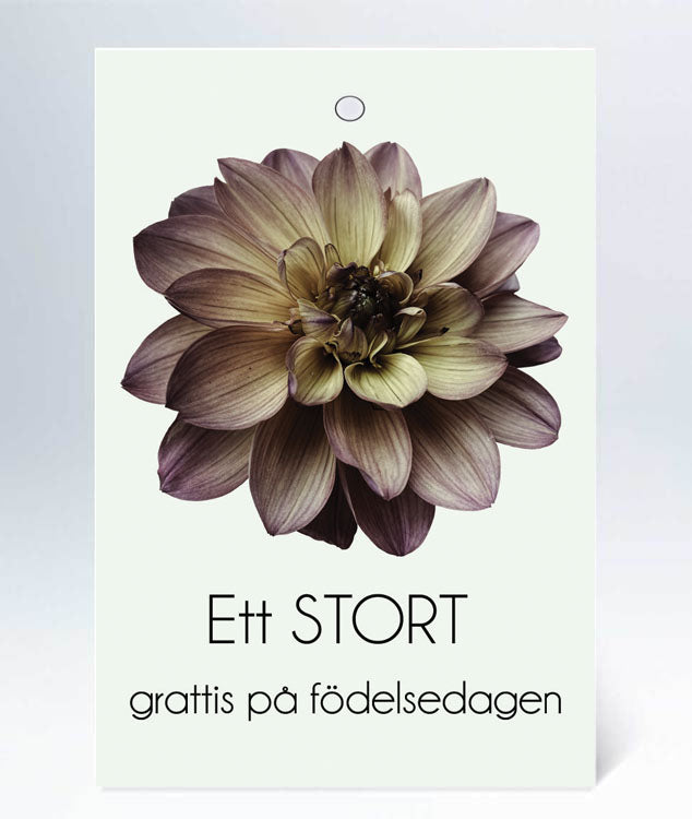 Tag enkel - 30st